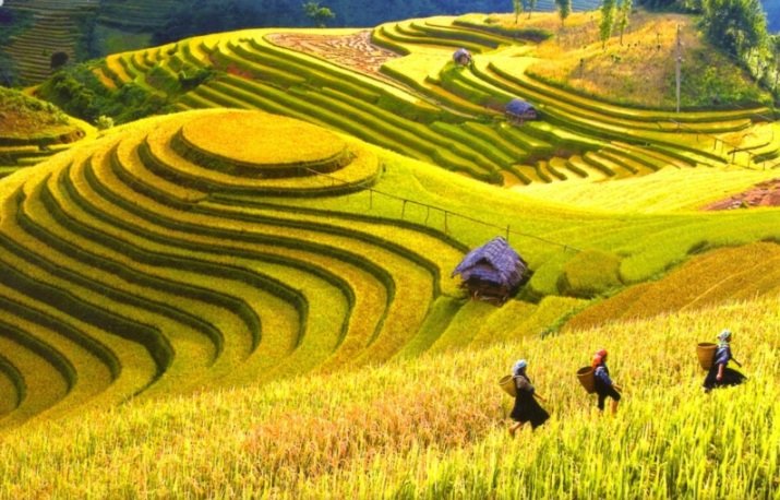 Belas-paisagens-do-norte-vietnamita