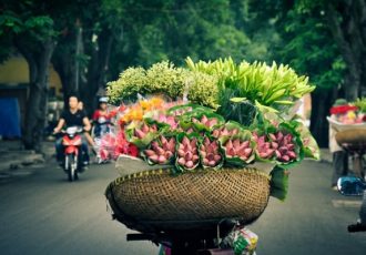 sabor-de-primavera-en-vietnam-en-14-dias (9)