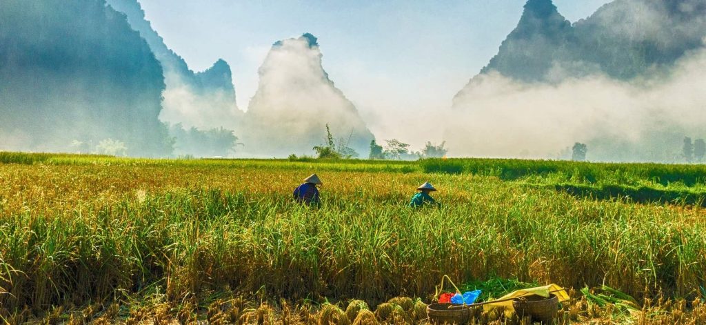 destination vietnam