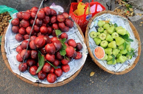 fotos frutos frescos ben tre sul vietnamita 1