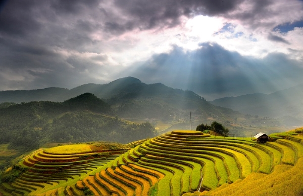 terracos de arroz do vietname