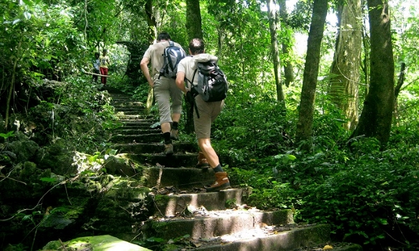 trekking ninh binh floresta cuc phuong