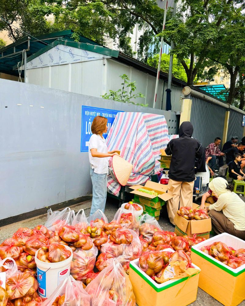 Quase uma tonelada de mangas foi entregue de manhã e logo distribuída aos pacientes