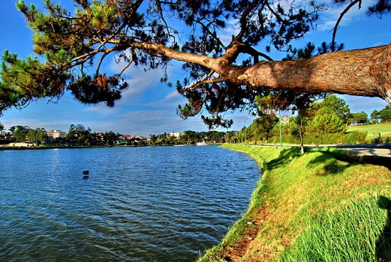 beau-lac-de-dalat