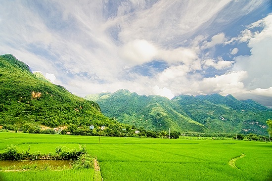 belle-riziere-de-mai-chau-hoa-binh