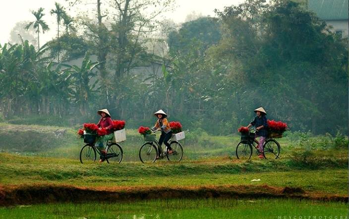 des-vendeuses-au-vietnam