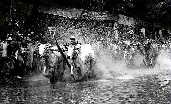fete-traditionnelle-a-chaudoc-vietnam