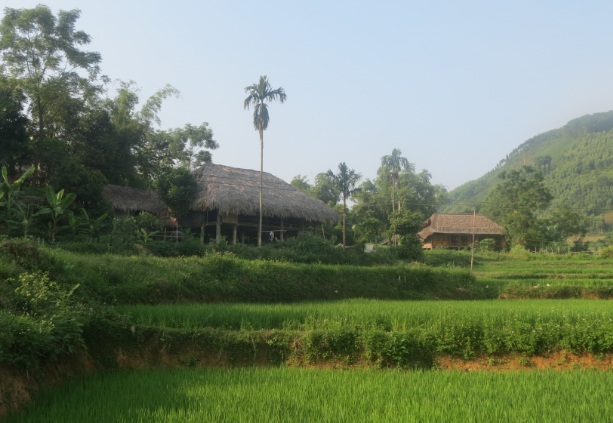 maison-en-bambou-daos