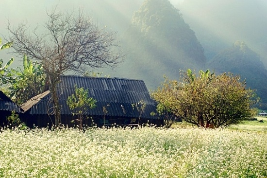 maison-ethnie-mongs-moc-chau