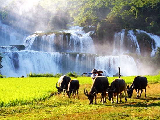 paysages-nord-est-vietnam