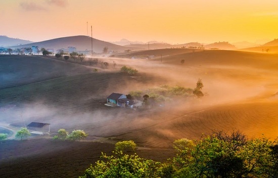 plateau-de-moc-chau-nord-vietnam