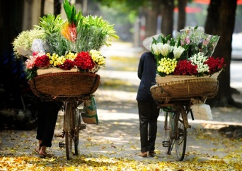 vendeuse-a-hanoi-capitale