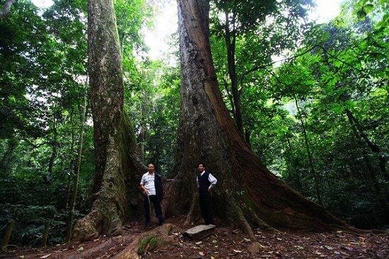 voyage-au-parc-de-cuc-phuong