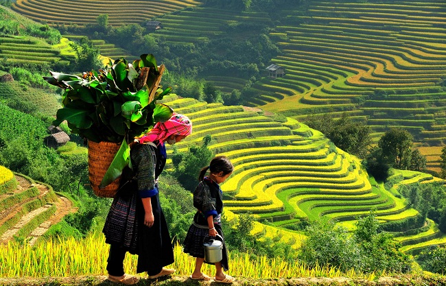 voyage-sapa-vietnam