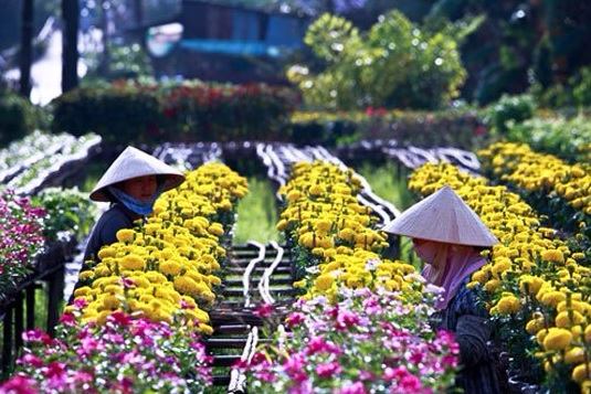 les-femmes-de-sa-dec-sud-vietnam