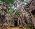 Ta Prohm Camboja viagem