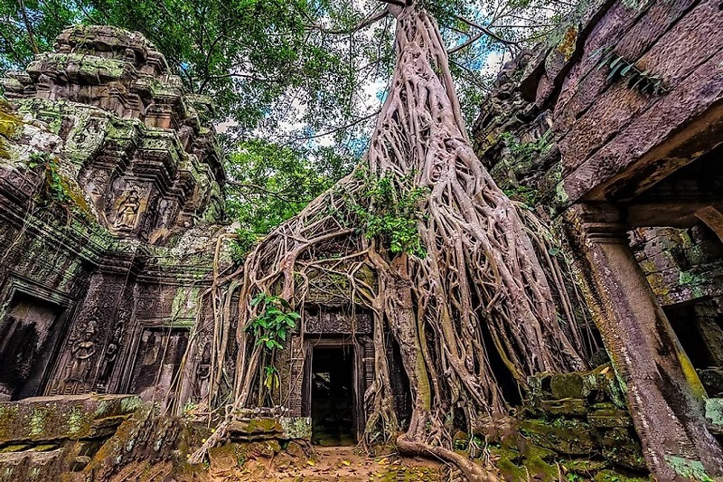 Ta Prohm Camboja viagem